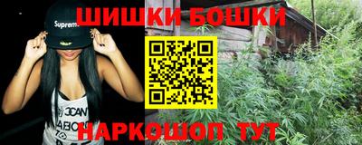 СК Пугачёв